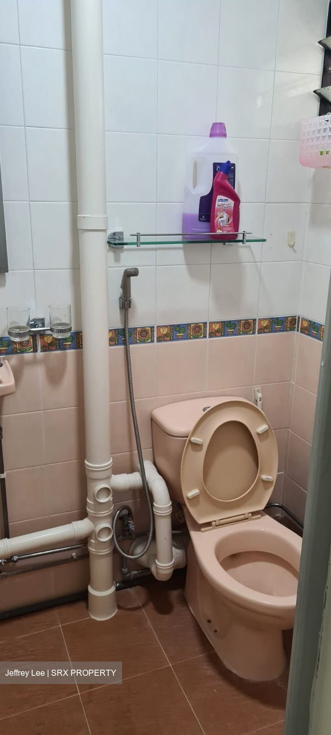 Blk 55 BLANGAH VIEW (Bukit Merah), HDB 3 Rooms #530369011